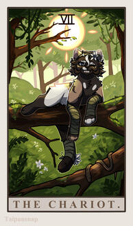 Tarot Card